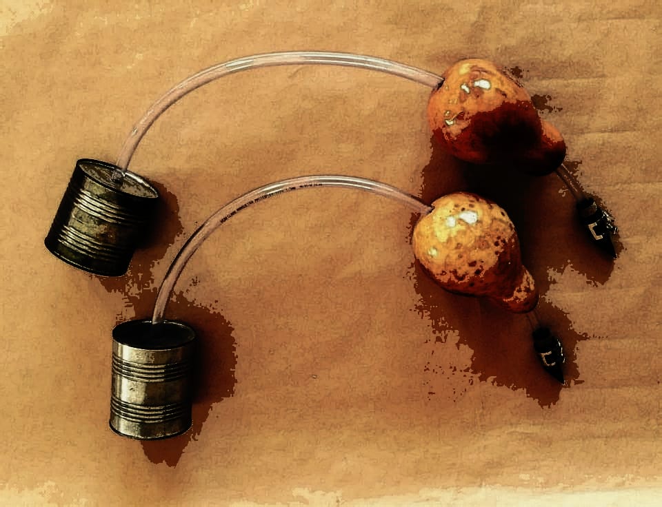 Foto Personalizada II